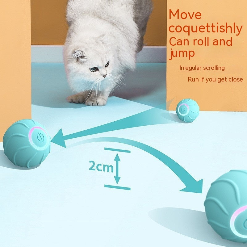 Balle Interactive Intelligente pour Chat